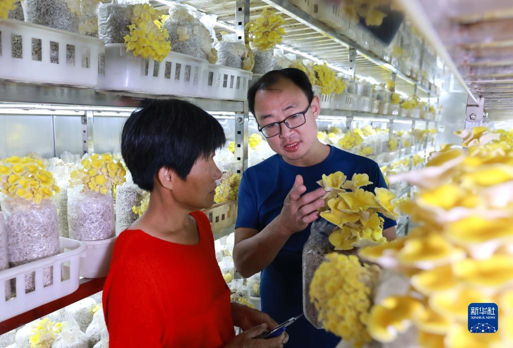斗牛游戏下载游戏